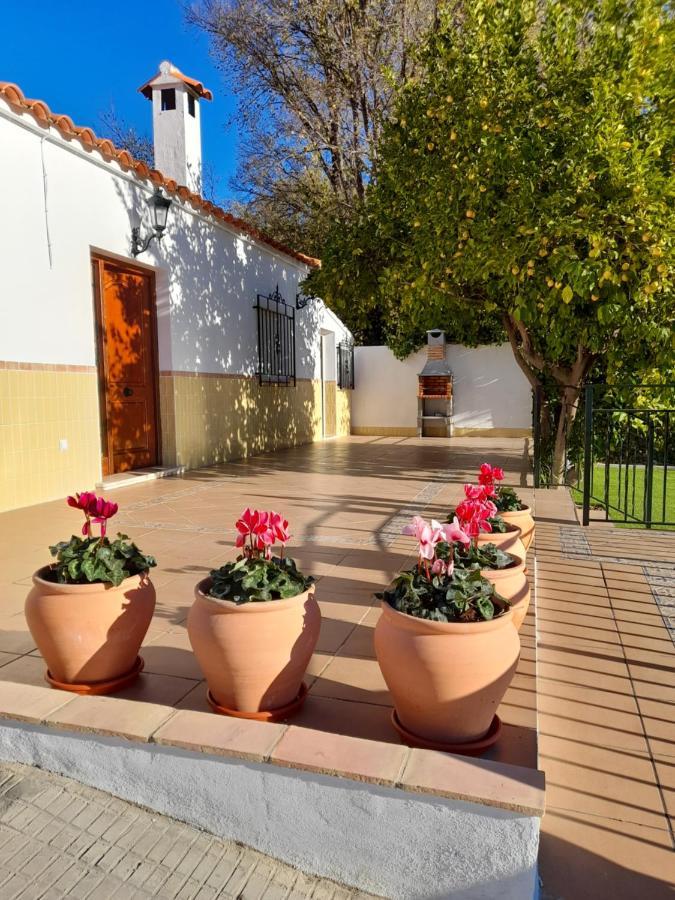 Alojamientos Rurales Villora Мурсия Экстерьер фото